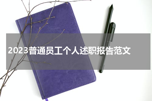 2023普通员工个人述职报告范文