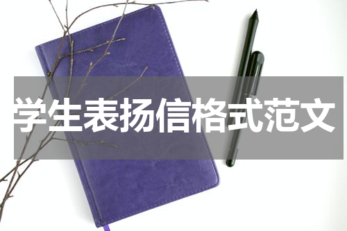 学生表扬信格式范文