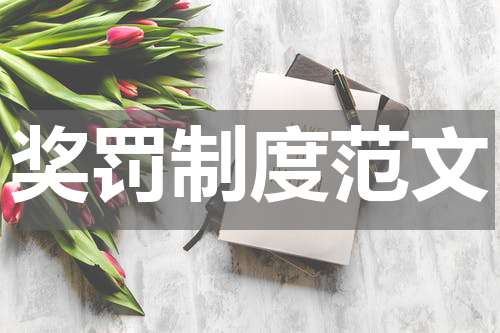 奖罚制度范文