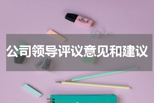 公司领导评议意见和建议