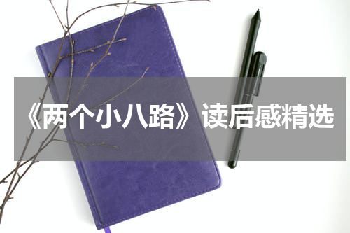 《两个小八路》读后感精选