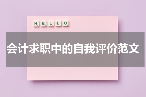 会计求职中的自我评价范文