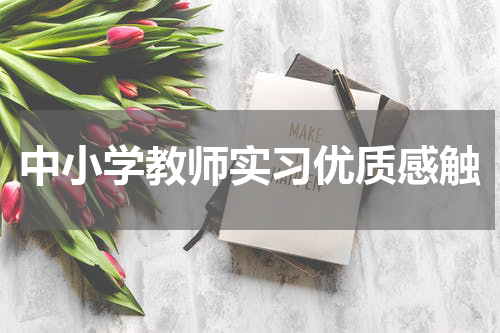 中小学教师实习优质感触