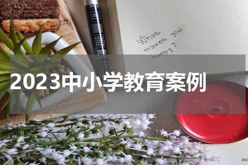 2023中小学教育案例