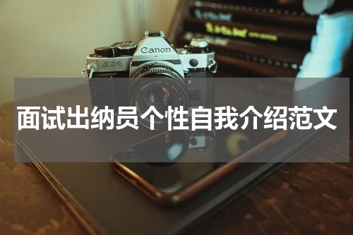 面试出纳员个性自我介绍范文