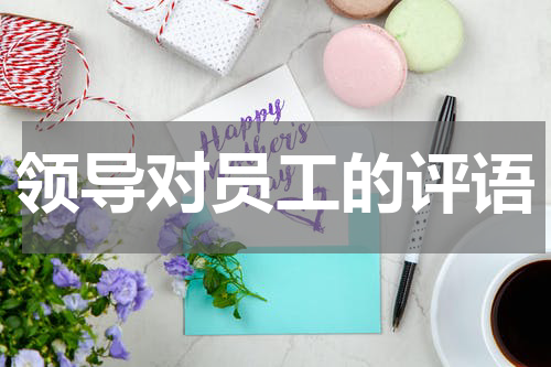 领导对员工的评语