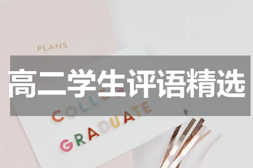 高二学生评语精选