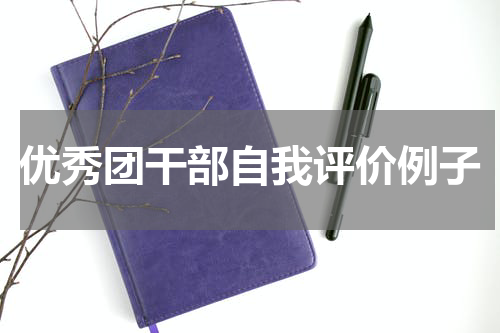 优秀团干部自我评价例子