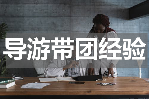 导游带团经验