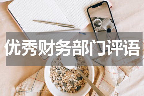 优秀财务部门评语