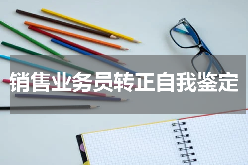 销售业务员转正自我鉴定