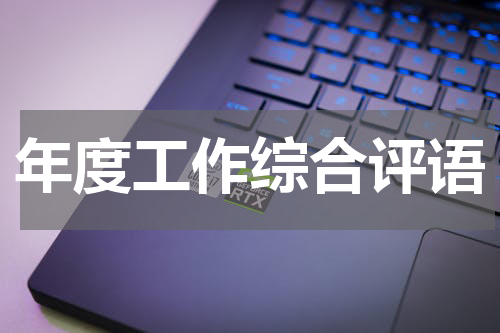 年度工作综合评语