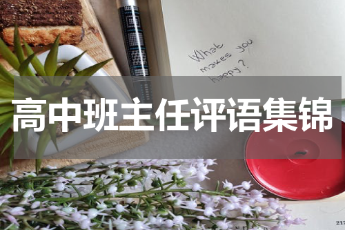 高中班主任评语集锦