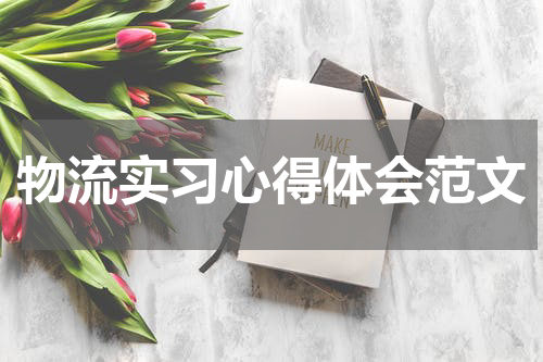 物流实习心得体会范文