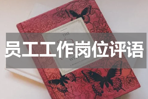员工工作岗位评语