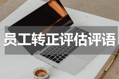 员工转正评估评语
