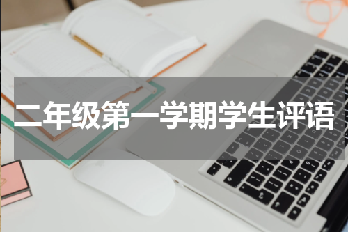 二年级第一学期学生评语
