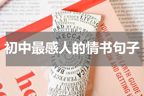 初中最感人的情书句子