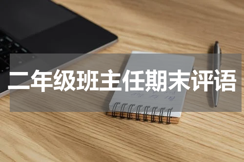 二年级班主任期末评语