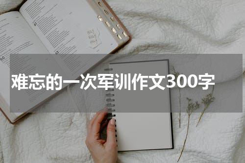难忘的一次军训作文300字