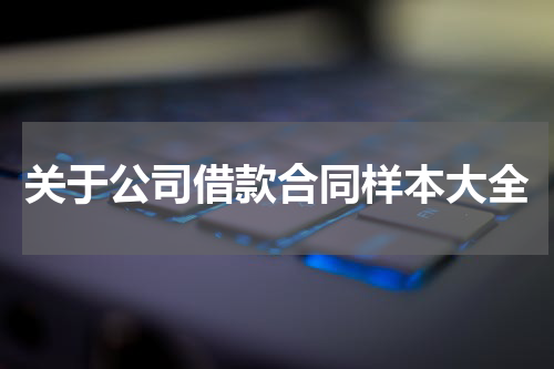 关于公司借款合同样本大全