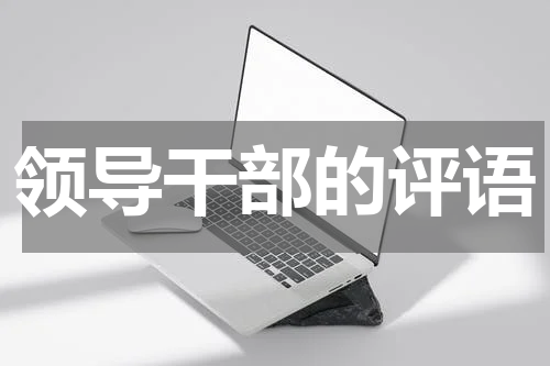 领导干部的评语