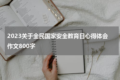 2023关于全民国家安全教育日心得体会作文800字