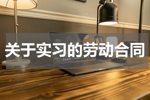 关于实习的劳动合同