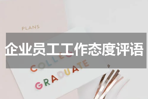 企业员工工作态度评语