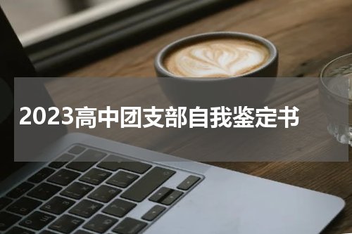 2023高中团支部自我鉴定书