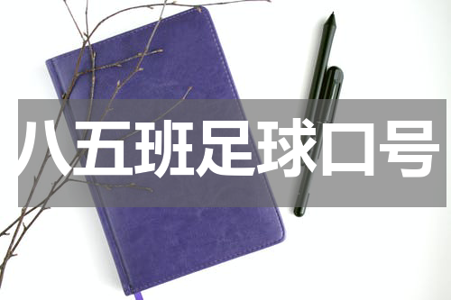 八五班足球口号
