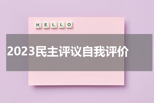 2023民主评议自我评价