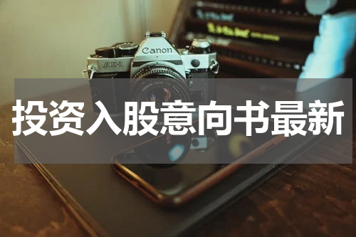 投资入股意向书最新