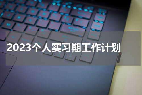 2023个人实习期工作计划