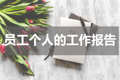 员工个人的工作报告