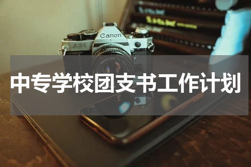 中专学校团支书工作计划