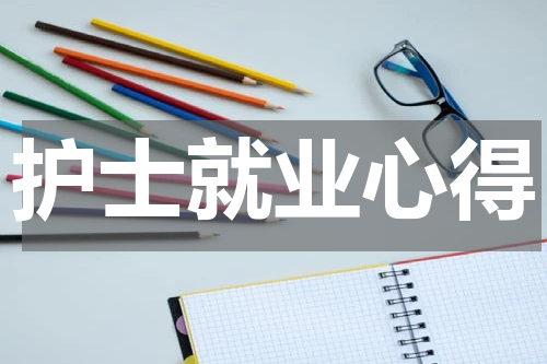 护士就业心得