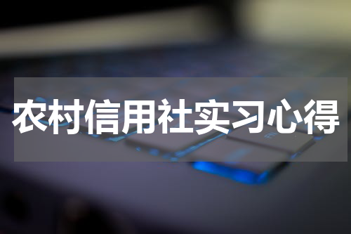 农村信用社实习心得