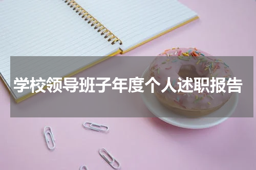 学校领导班子年度个人述职报告