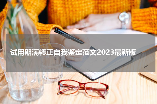 试用期满转正自我鉴定范文2023最新版
