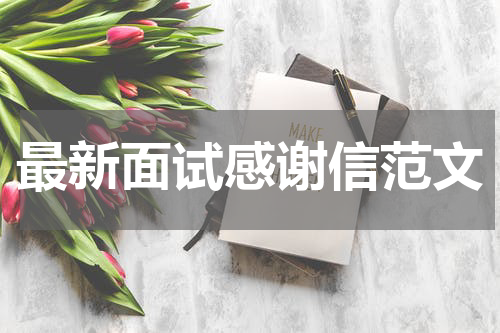 最新面试感谢信范文