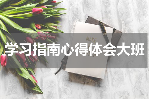 学习指南心得体会大班