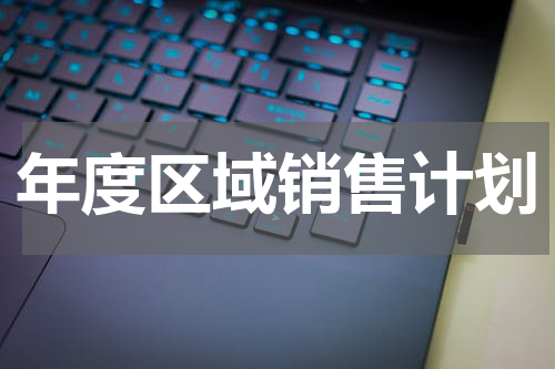 年度区域销售计划