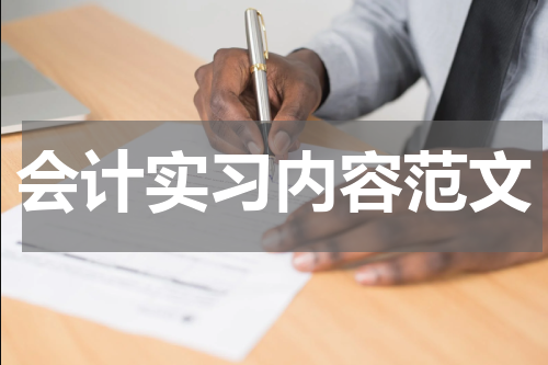 会计实习内容范文
