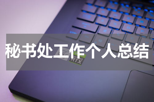 秘书处工作个人总结