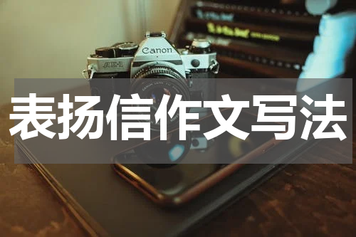 表扬信作文写法