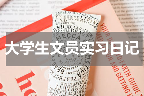 大学生文员实习日记