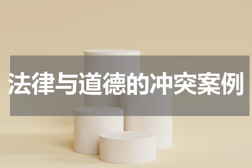 法律与道德的冲突案例