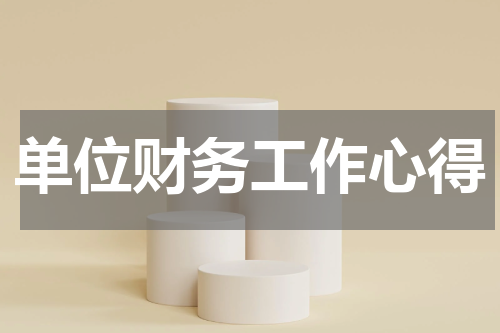 单位财务工作心得