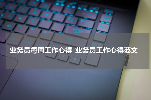 业务员每周工作心得_业务员工作心得范文